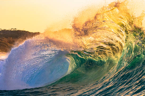 istock Wild ocean wave breaking dangerously illuminated by the bright golden morning sun 1400661650