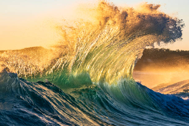 istock Wild golden backwash ocean wave illuminated by the bright morning sun 1400661796