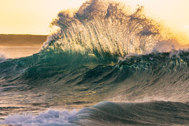 istock Large golden backwash ocean wave illuminated by the bright morning sun 1400661801