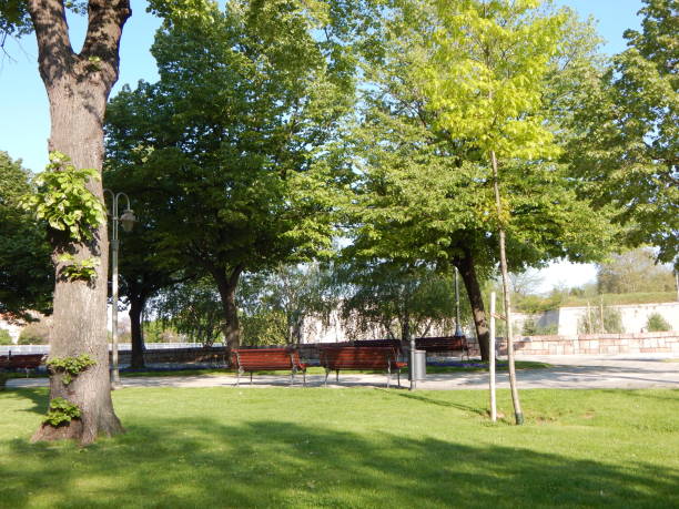 istock Summer park. Calm morning in empty city park 1400662746