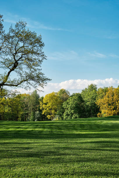 istock Spring park, freshly cut lawn, vertical frame, background or wallpaper idea. 1400665902