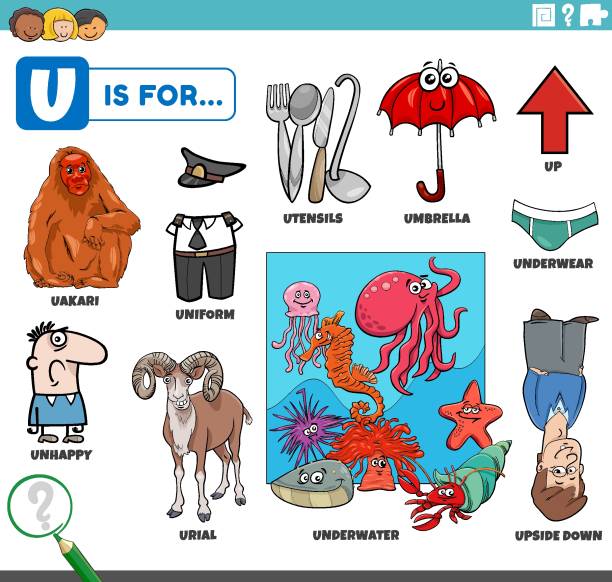 letter u words educational set with cartoon characters educational cartoon illustration for children with comic characters and objects set for letter U letter u with words stock illustrations