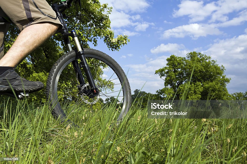 Ciclismo em floresta - Royalty-free Adulto Foto de stock
