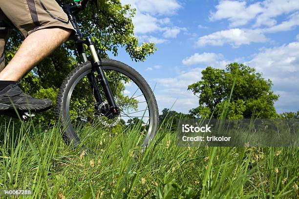 Ciclismo Em Floresta - Fotografias de stock e mais imagens de Adulto - Adulto, Andar de Bicicleta de Montanha, Ao Ar Livre