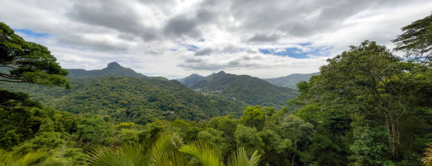 istock Panoramic view of the Tijuca Forest with cloudy day. 1400673020