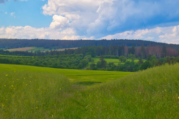 in the Thuringian Forest