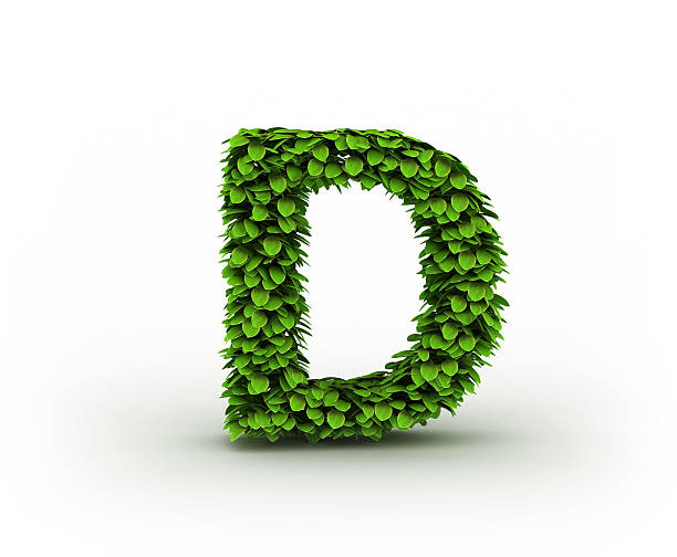 istock Letter D, alphabet of green leaves 140067428