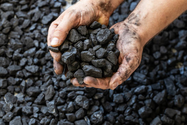 il carbone e le mani di un minatore, concetto, l'aumento del prezzo del carbone, l'estrazione mineraria dura e il lavoro industriale - carbone foto e immagini stock