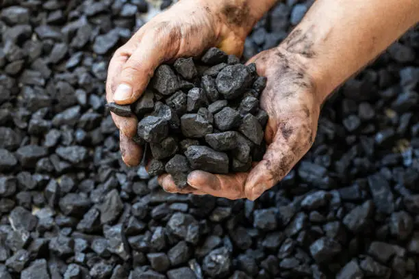 Photo of Coal and the hands of a miner, Concept, the rising price of coal, Hard mining and industrial work