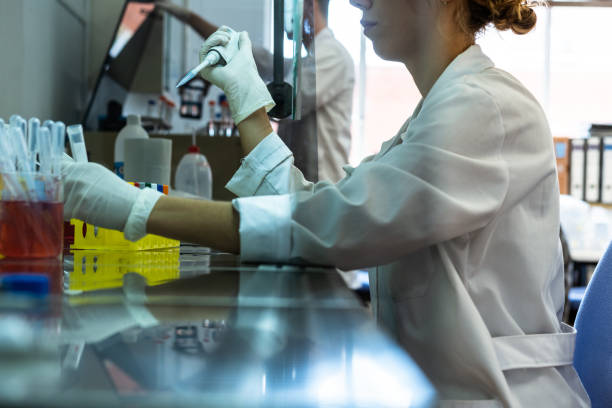 istock Young woman researcher working in gloves and lab robe in the flow cabinet, using automatic pipette and tubes with cells and chemicals 1400677125
