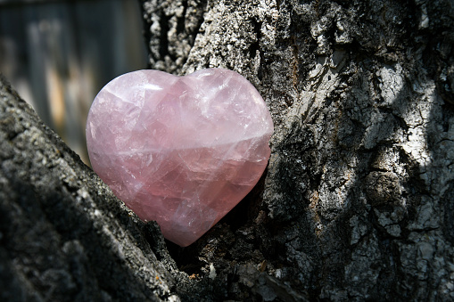 An image of a rose quartz crystal heart resting in between two tree branches.