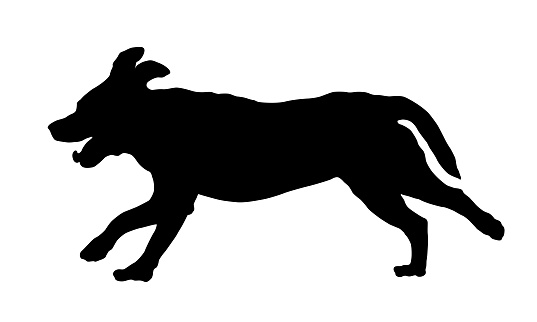 Running labrador retriever puppy. Black dog silhouette. Pet animals. Isolated on a white background. Vector illustration.