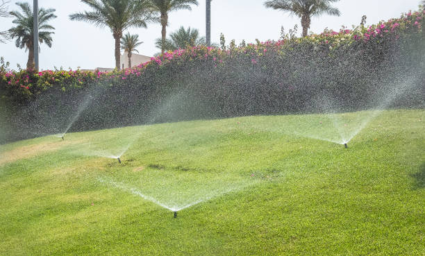 istock Automatic Garden Lawn sprinkler in action watering grass. 1400682909