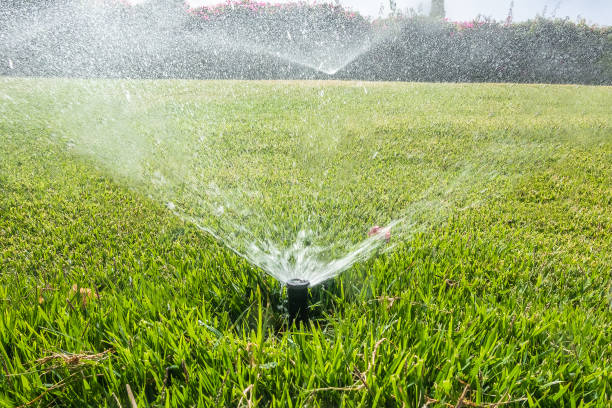 istock Automatic Garden Lawn sprinkler in action watering grass. 1400682938