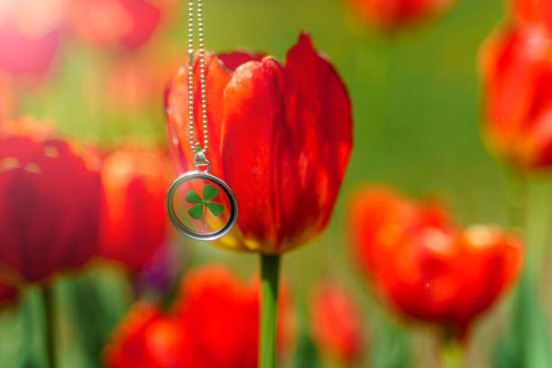 Round talisman with a clover leaf inside against a background of red tulips.