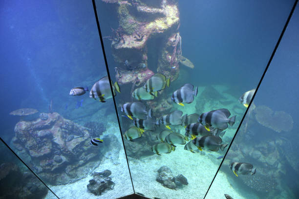 istock House of the Sea 1400685368