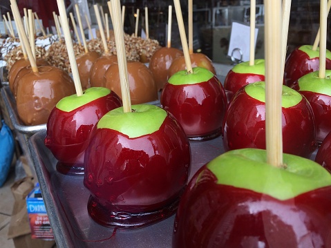 rows of candy apples