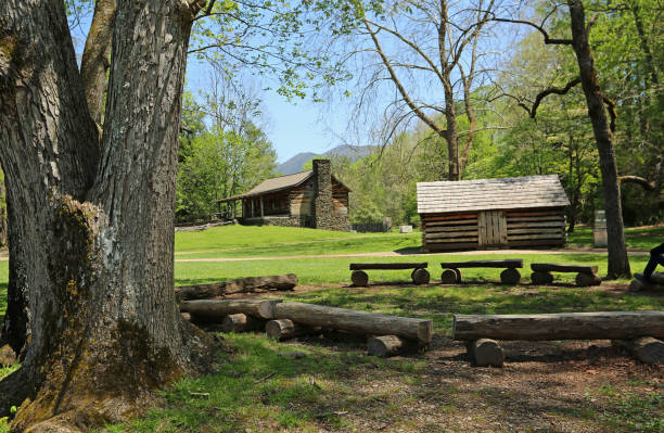 istock The tree and John Oliver cabin 1400686726