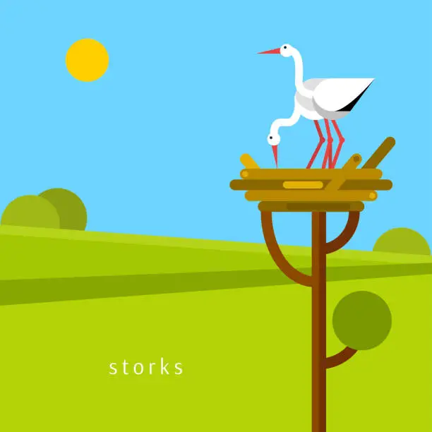 Vector illustration of Two stork in the nest.