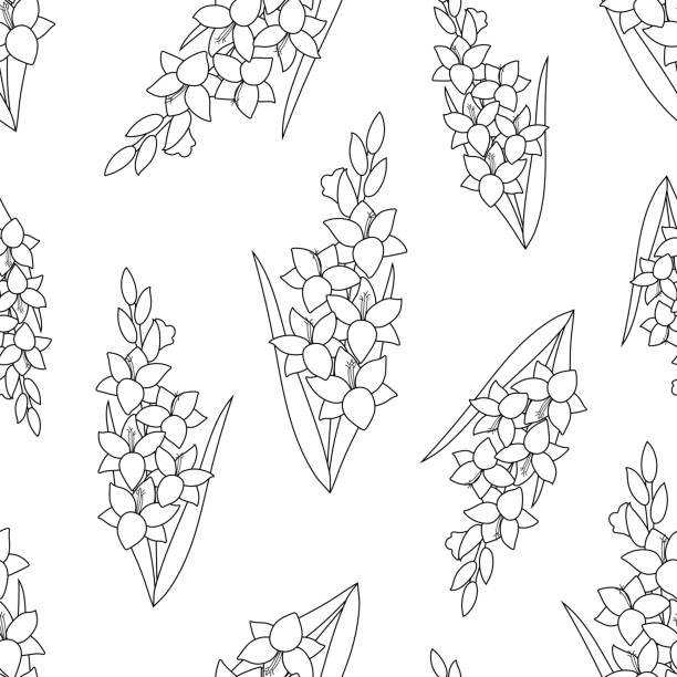 illustrations, cliparts, dessins animés et icônes de motif sans couture avec des fleurs de glaïeul linéaires à partir de contours noirs sur fond blanc - gladiolus flower beauty in nature white background