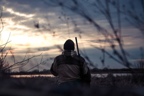 uomo cacciatore in mimetica con fucile a pompa che guarda in lontananza con oche volanti all'orizzonte durante il drammatico tramonto durante la stagione di caccia - sniper army rifle shooting foto e immagini stock