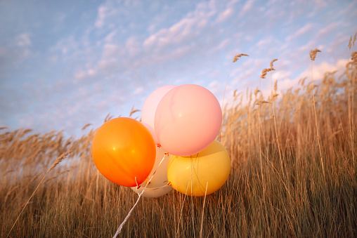 Beautiful pink and orange balloons outdoors in a field in tall dry grass. Celebrating a birthday in nature or gentle romantic evening. Blue cloudy sky. Mother's Day copy space for text. Minimal style