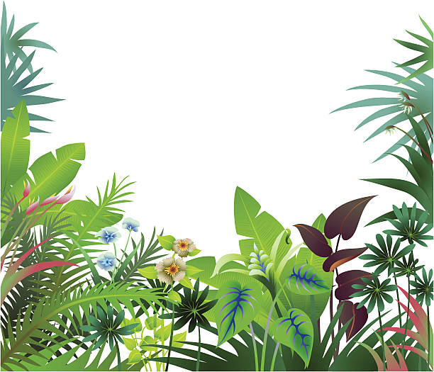 Jungle Border vector art illustration