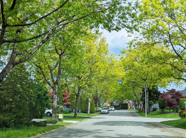 istock Tree-lined Street in Surrey, British Columbia 1400697415