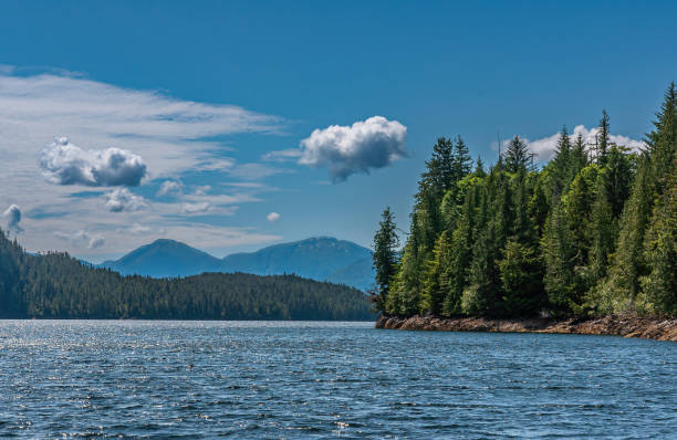 istock Blue cloudscape over forests and water, Ketchikan, Alaska, USA 1400701055