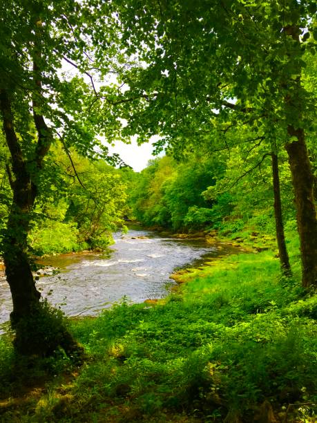 istock Yorkshire Dales National Park 1400701056