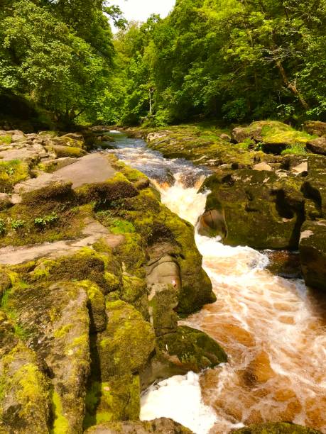 istock Yorkshire Dales National Park 1400702559