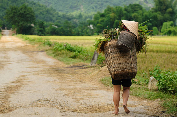 istock VIetnam - rural scene 140070405