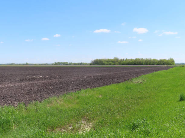istock Corner of a Farmer's Field 1400711014