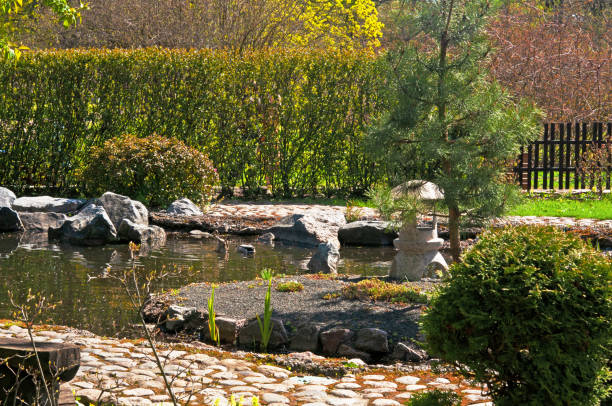 istock A small decorative pond with stones and various plants in a city park 1400714744