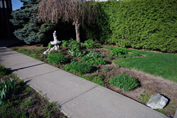 pianta perenne giardino - landscaped spring canada footpath foto e immagini stock
