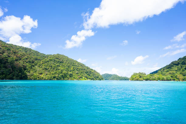 istock beautiful clear water at Surin island 1400715797