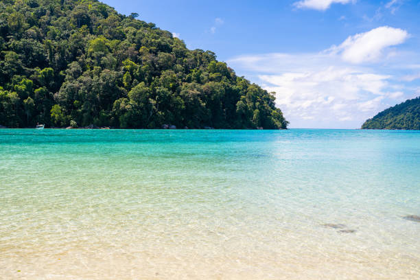 beautiful clear water at Surin island beautiful clear water at Surin island,Surin island phang nga province stock pictures, royalty-free photos & images