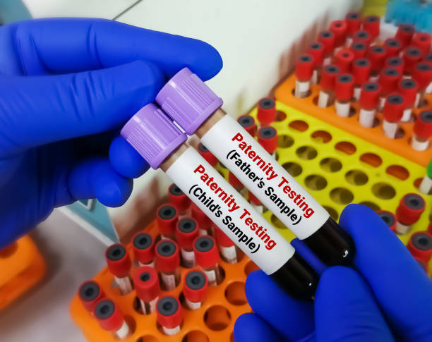 pruebas de paternidad mediante secuenciación de adn de la muestra de sangre del padre y de los hijos. - laboratory equipment dna father scientific experiment fotografías e imágenes de stock