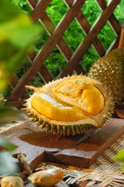 istock Durian King of Fruits 1400733850