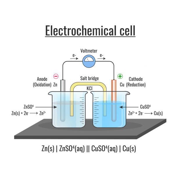 ilustrações de stock, clip art, desenhos animados e ícones de electrochemical cell or galvanic cell with voltmeter and the function of salt bridge - energia reativa