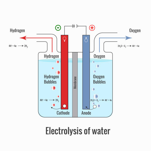 ilustrações de stock, clip art, desenhos animados e ícones de electrolysis of water forming hydrogen and oxygen vector illustration - energia reativa