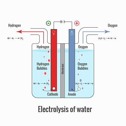 Electrolysis of Water. Labeled diagram to show the electrolysis of acidified water forming hydrogen and oxygen gases. Electrolysis of Water in Voltameter.