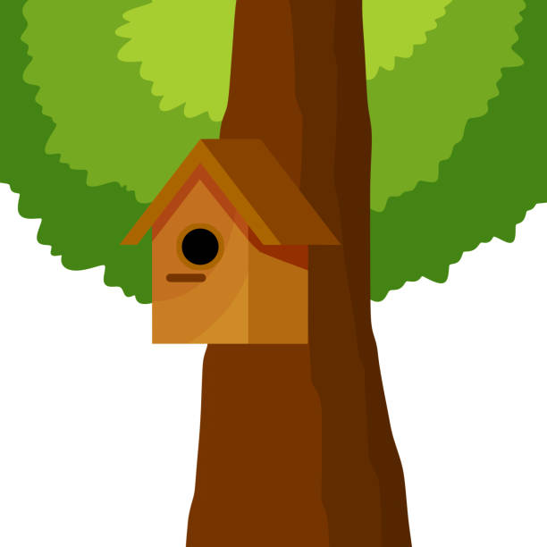 vogelhaus hängt am baum. haus für vögel. frühlingsnest des waldtieres. - birdhouse animal nest house residential structure stock-grafiken, -clipart, -cartoons und -symbole