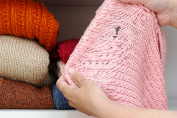 woman hands holding knitted cloth with hole made by moth - pilha roupa velha imagens e fotografias de stock