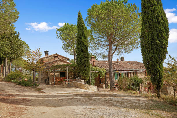 istock Road amidst trees leading towards old houses 1400739471