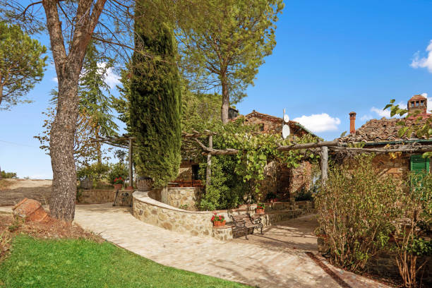 istock Trees and plants in front of detached houses 1400740098