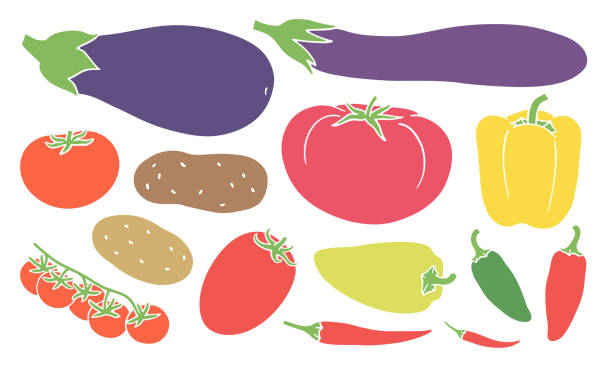 ilustrações, clipart, desenhos animados e ícones de legumes e frutas à noite - heirloom tomato illustrations