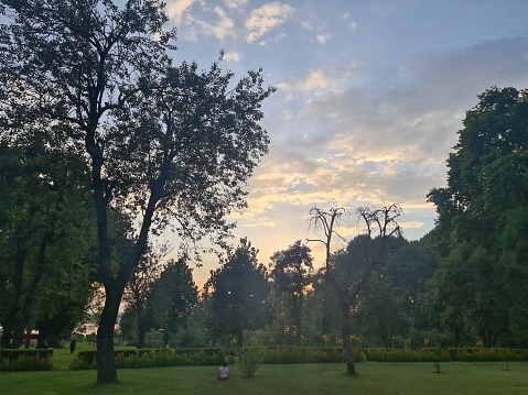 Chashme Shahi garden Landscape nature beautiful valley hills green grass plants and blue cloudy sky in Jammu and Kashmir