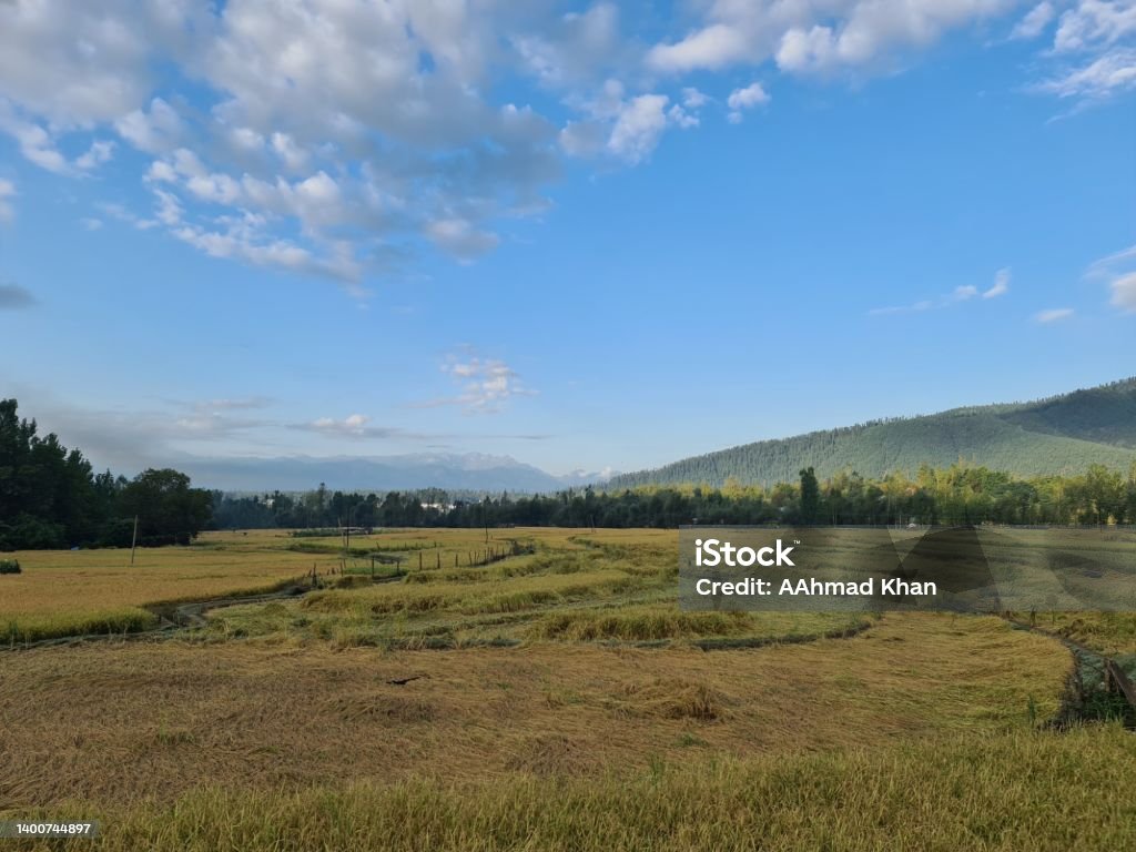 Kashmir Beautiful Place Chashme Shahi Stock Photo Download Image Now