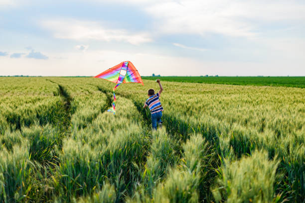 istock Beautiful boy enjoying wheat field 1400751858